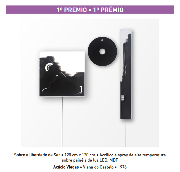 primer premio bienal