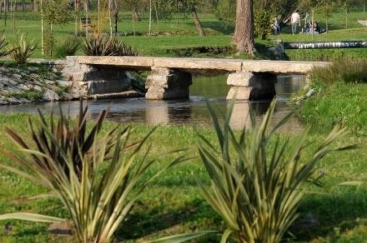 Famalicão quere crear corredores naturais nas marxes dos ríos