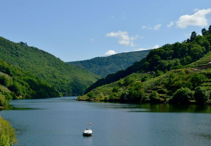 La Unesco declara a Ribeira Sacra y Serras do Oribio y Courel la séptima reserva de la biosfera de Galicia