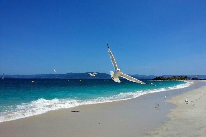 Un informe da USC conclúe que Galicia, Canarias e Andalucía serán os destinos predilectos este verán para os turistas españois