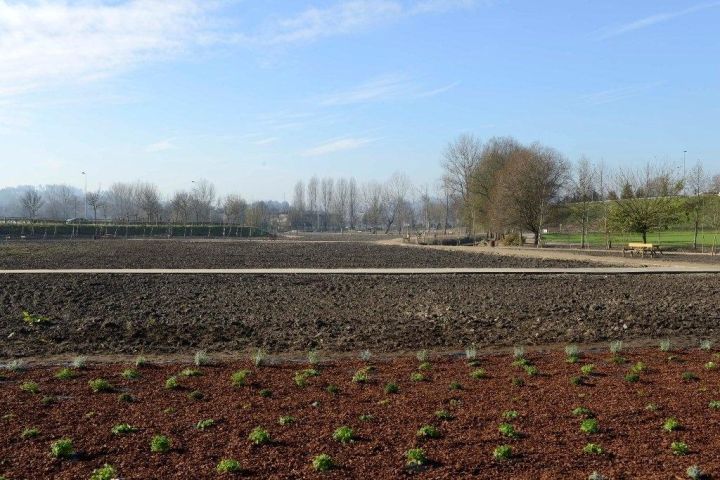 La Huerta Pedagógica de Guimarães finalista del Green Project Awards
