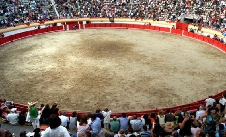 A praza de touros de Viana vai ser transformada en pavillón deportivo
